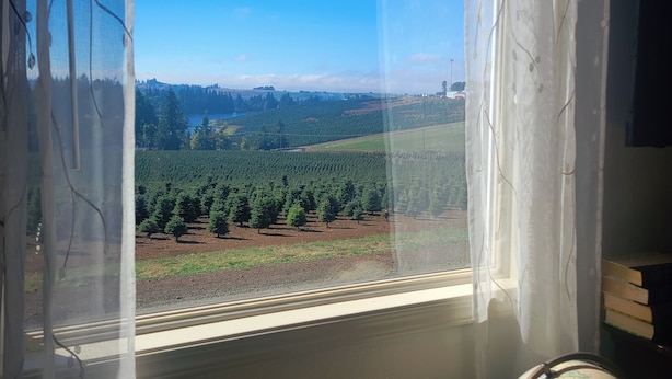 Una ventana con vista a un bosque y un cielo despejado.