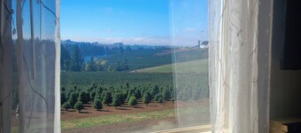 Guest House at Buena Vista Lavender Farm