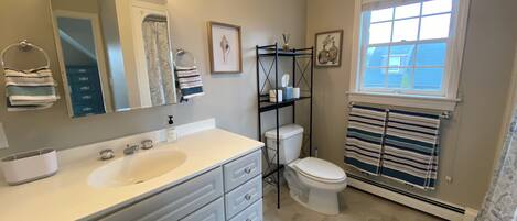 Ducha, secador de pelo, toallas, jabón