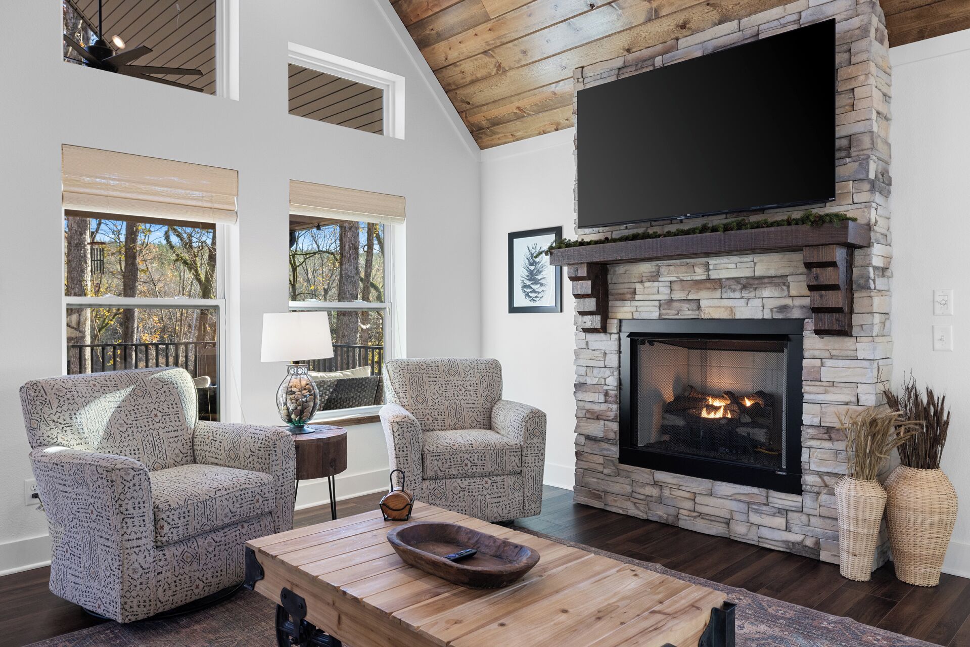 智能电视、壁炉、书