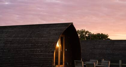 Standard-Kabine-Ensuite mit Dusche