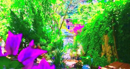 Hollywood Hills Guest House+Views+Outdoor Patio+Garden+Free Street Parking