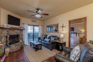 Smart TV, fireplace, DVD player, books