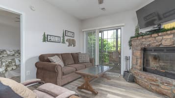 Smart TV, fireplace, DVD player, video library