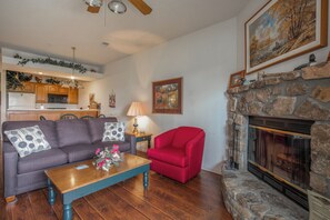 TV, fireplace, video games, DVD player