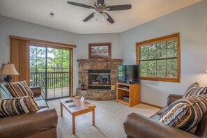 TV, fireplace, DVD player, books