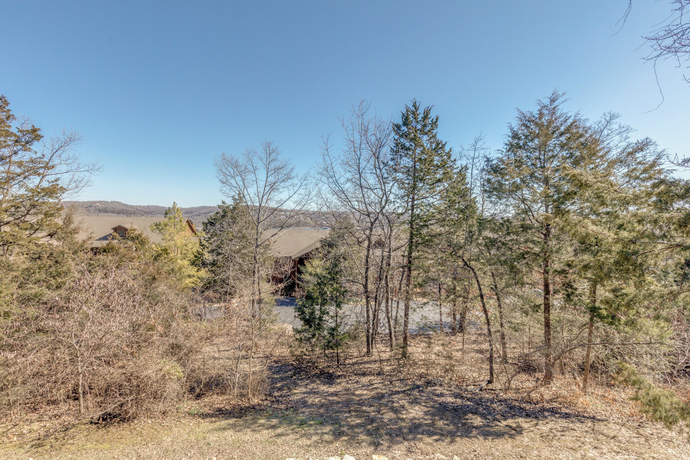 A natural landscape with trees, a river, and distant hills.