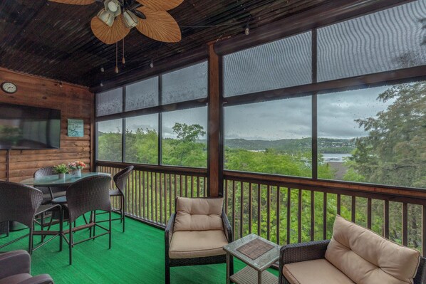 Smart TV, fireplace, DVD player, video library