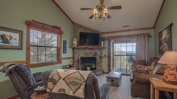 Smart TV, chimenea, reproductor de DVD y videoteca