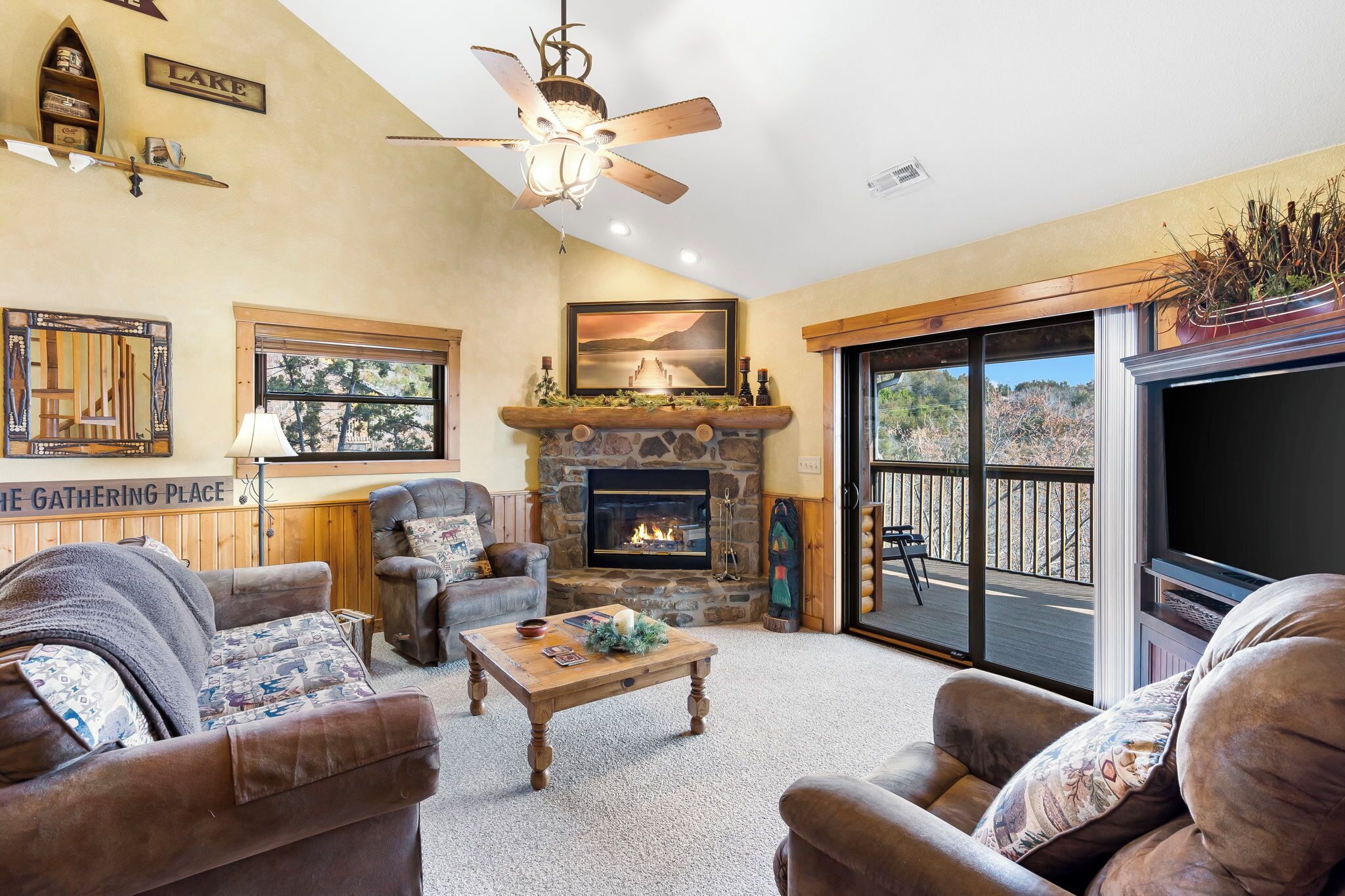 Smart TV, fireplace, DVD player, video library