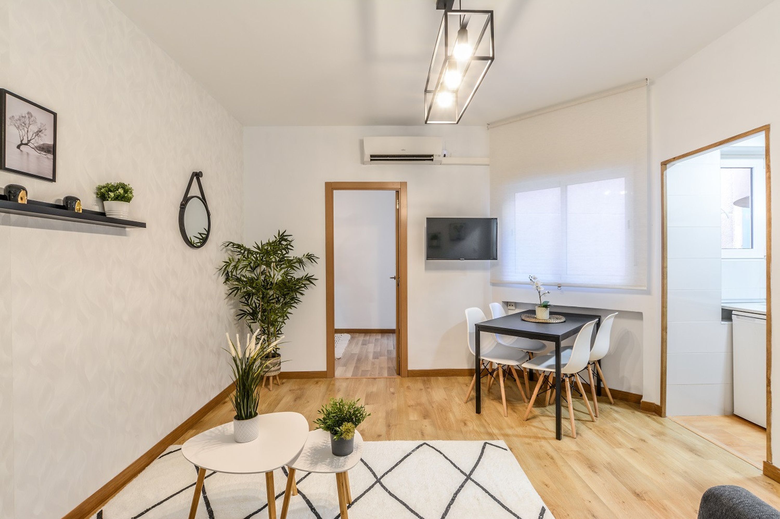 1 habitación 
