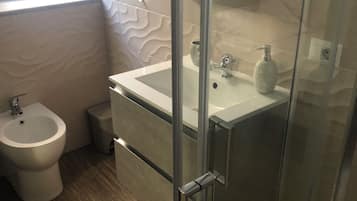 Shower, hair dryer, bidet, towels