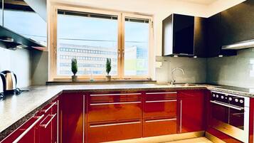 Frigorífico, microondas, horno y placa de cocina