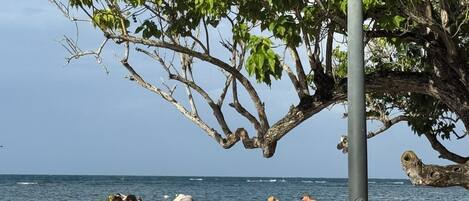 Praia