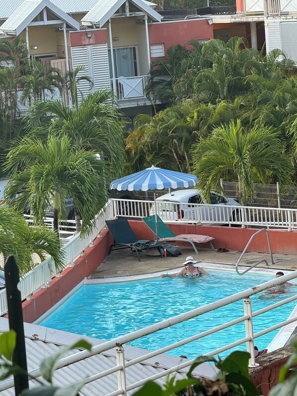 Una piscina con una sombrilla azul y blanca, rodeada de palmeras y una cerca blanca.