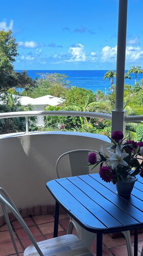STUDIO MESANGE TARTANE BEACH 200m FROM SWIMMINGPOOL SEA VIEW