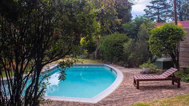 A rectangular swimming pool with a brick deck surrounding it, a wooden lounge chair, and lush greenery in the background.