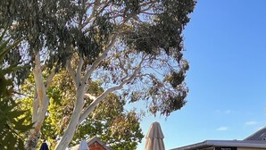 Un espacio al aire libre con mesas y sillas, sombrillas y un edificio de ladrillo al fondo.