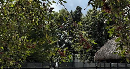 LUXURY FARM/20 MIN KEYS/EVENT/POOL/GAMES/WIFI/FRUIT TREE/PEACE/NATURE