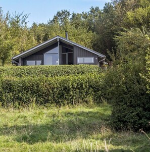 A modern house with a sloped roof, large windows, and a chimney.