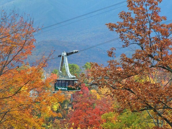 A cable car system amidst autumn foliage.
