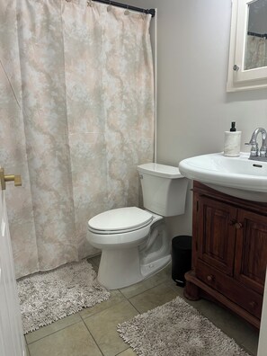 Regadera, secadora de cabello, toallas, jabón