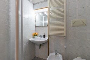 Shower, hair dryer, bidet, towels