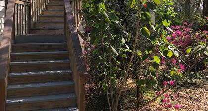 Cozy 1-bedroom apartment. Perfect for FSU parent visits!