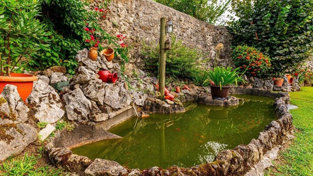 Un jardín con un estanque, muros de piedra y plantas en macetas.