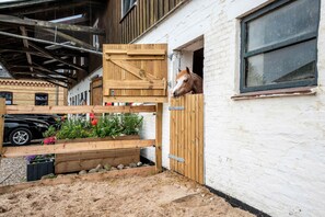 المنطقة المحيطة بالمنشأة