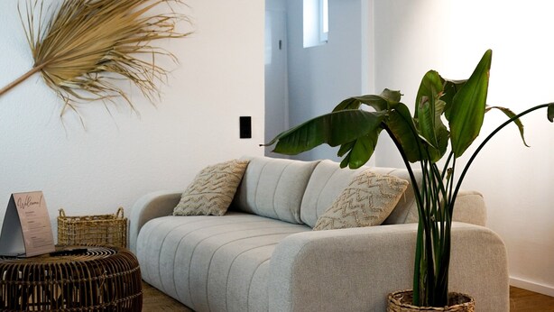 Un salon moderne avec un canapé gris, un panier en osier, une grande plante et une poutre en bois au plafond.