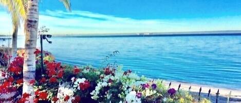 Solsenger og strandhåndklær