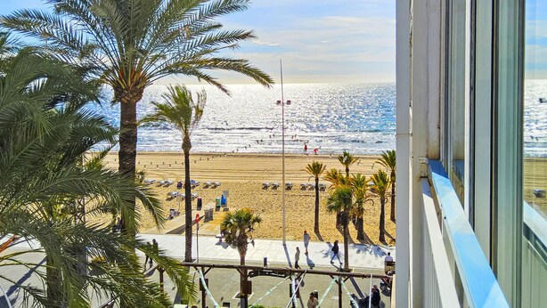 Une vue sur la plage, avec des palmiers, une plage de sable et un ciel dégagé.