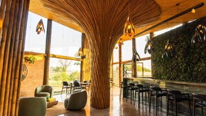 Un intérieur moderne avec un plafond original en bambou, de grandes fenêtres et un mur végétal.