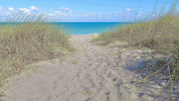 A sandy beach path leading to the ocean, surrounded by grass. - Catamaran - Beautifully Renovated 2 BR Condo - Golf Course Enclosed Balcony View - Oceanfront Resort (Fort Pierce)