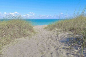 A sandy beach path leading to the ocean, surrounded by grass.