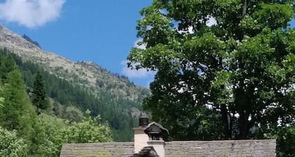Between sky and forest - romantic chalet in nature