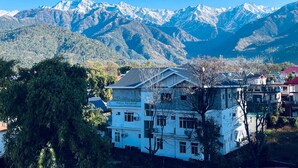 View from property - Hotel Palampur Life (Palampur)