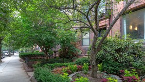 A tree-lined sidewalk with a brick building and a metal fence.