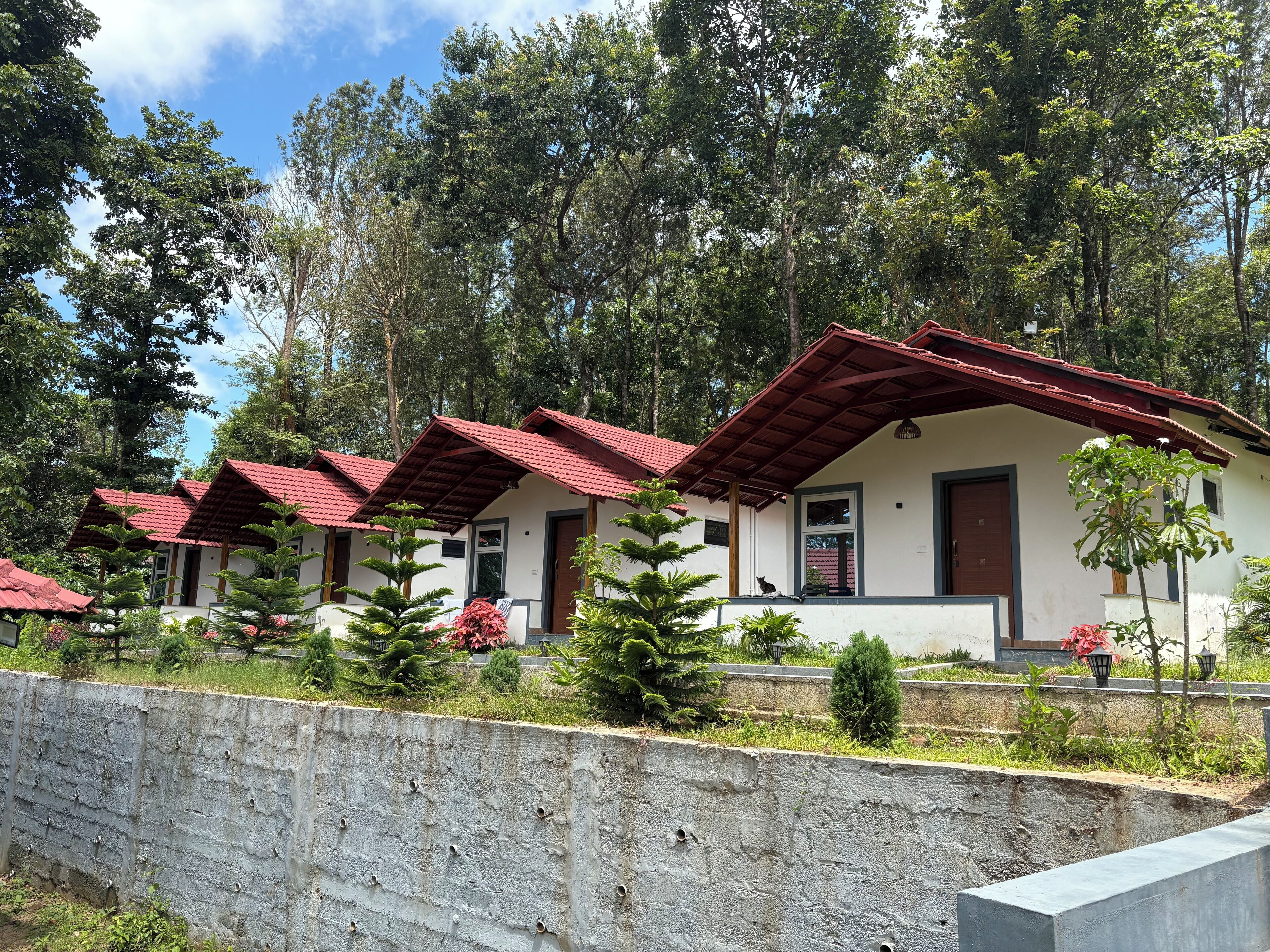 舒適平房, 露台, 花園景 | 熨斗/熨衫板