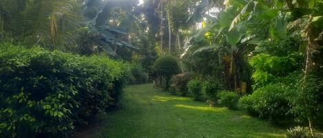 Jardines del alojamiento