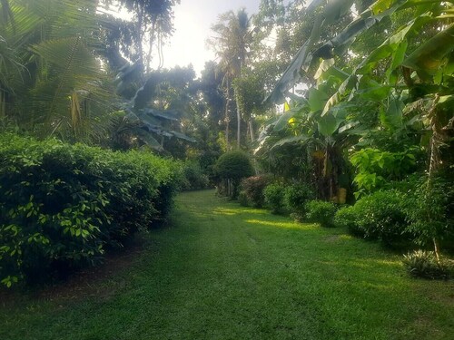 Eco Space - A peaceful villa with a lush garden