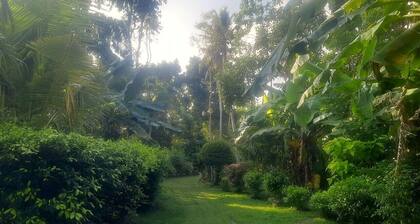 Eco Space - A peaceful villa with a lush garden