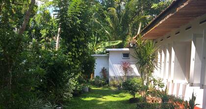 Eco Space - A peaceful villa with a lush garden