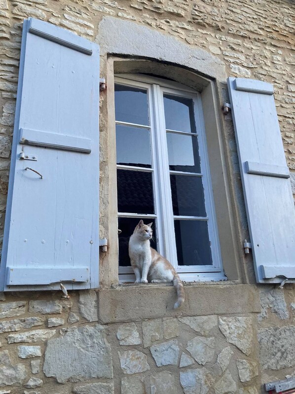 Détail de l’extérieur