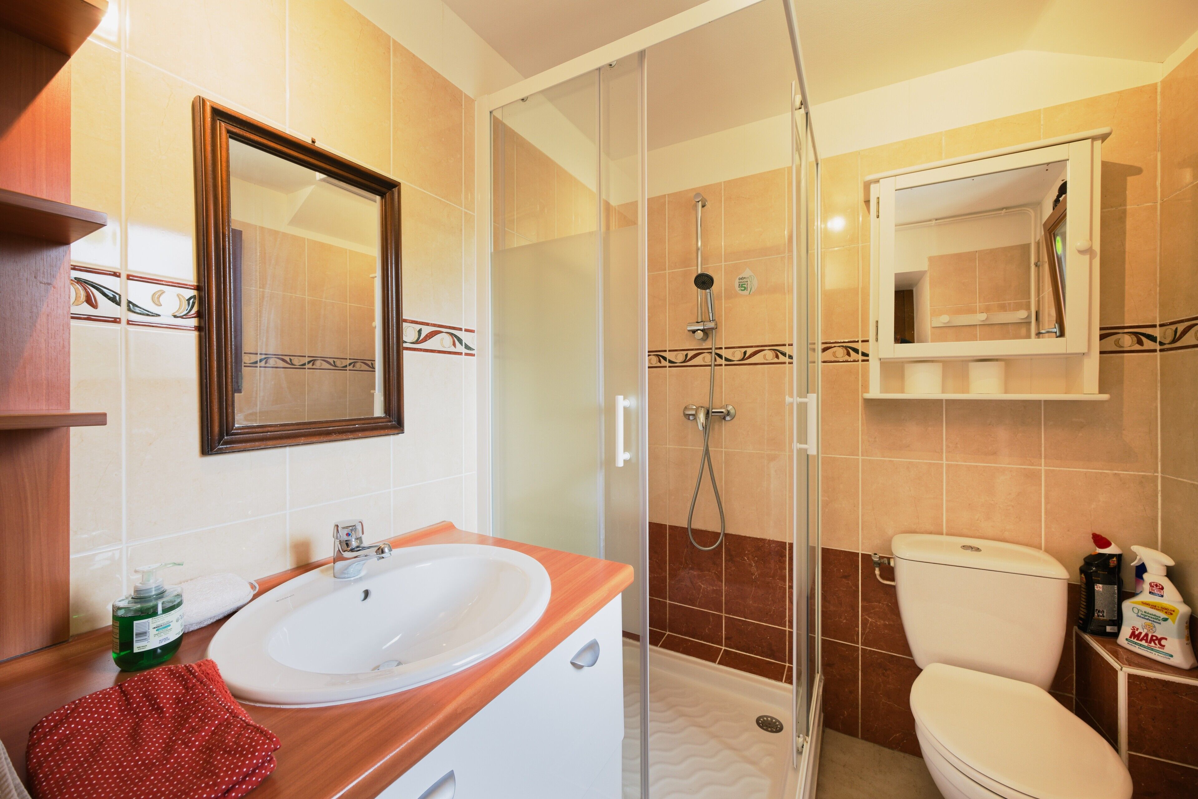 Ein Badezimmer mit Waschbecken, Spiegel, Dusche und Toilette.