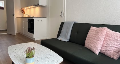 Cozy Flats Silkeborg - S1