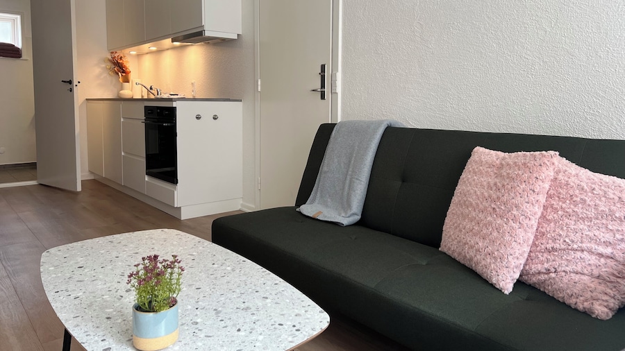 Cozy Flats Silkeborg - S1