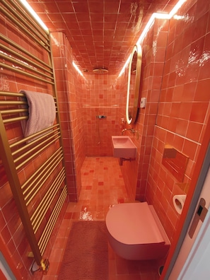 Shower, hair dryer, towels, soap - Absolute peace and terrace in Bastille (Paris)
