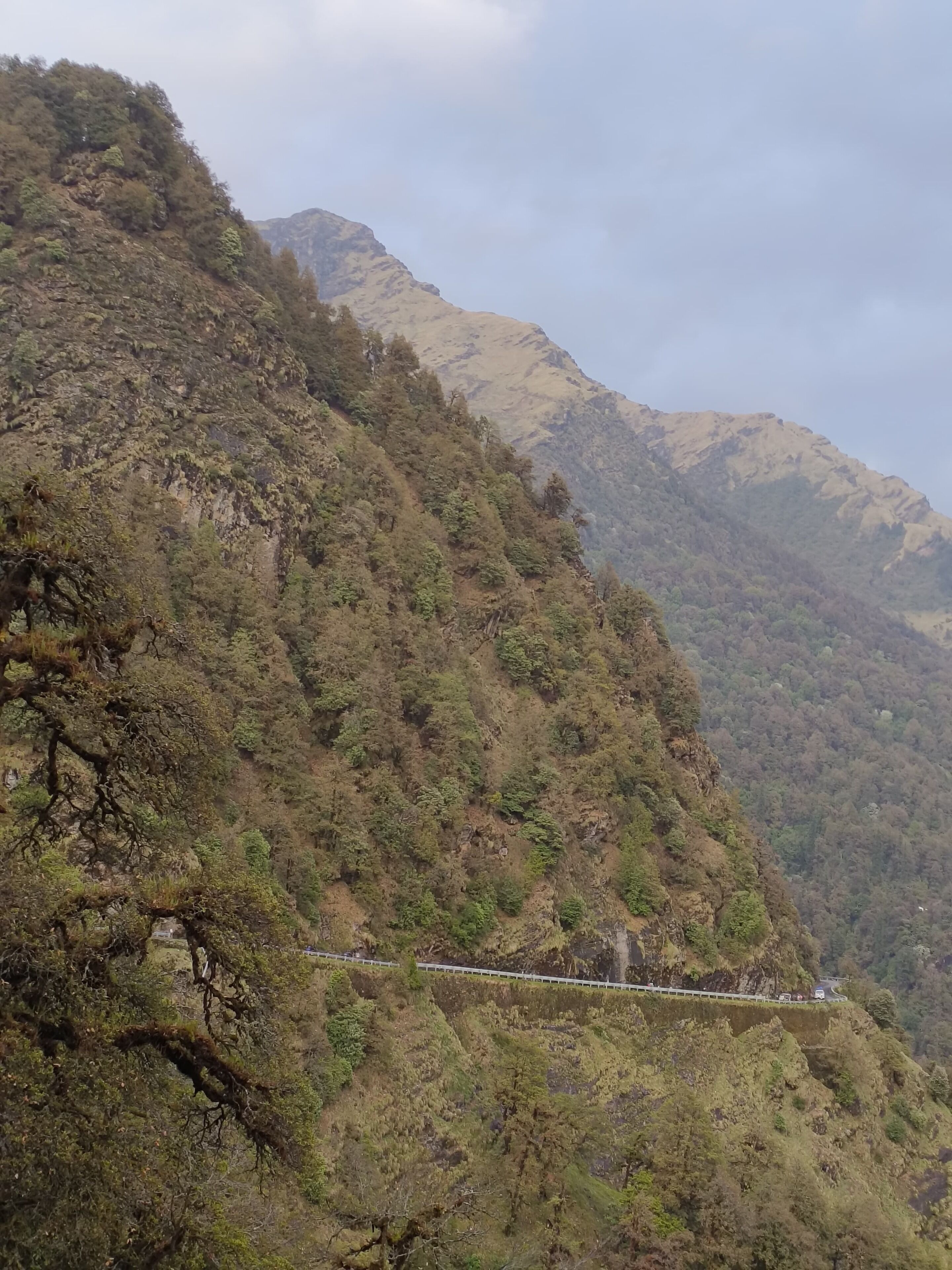 A mountainous landscape with a narrow road winding through dense vegetation.